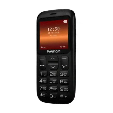 Мобильный телефон Prestigio PFP1220 Muze L1 Black-0