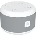 Умная колонка Prestigio Smartvoice (PSS105M_LG)