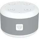 Умная колонка Prestigio Smartvoice (PSS105M_LG)