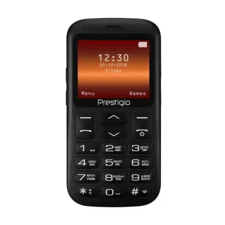 Мобильный телефон Prestigio PFP1220 Muze L1 Black-3